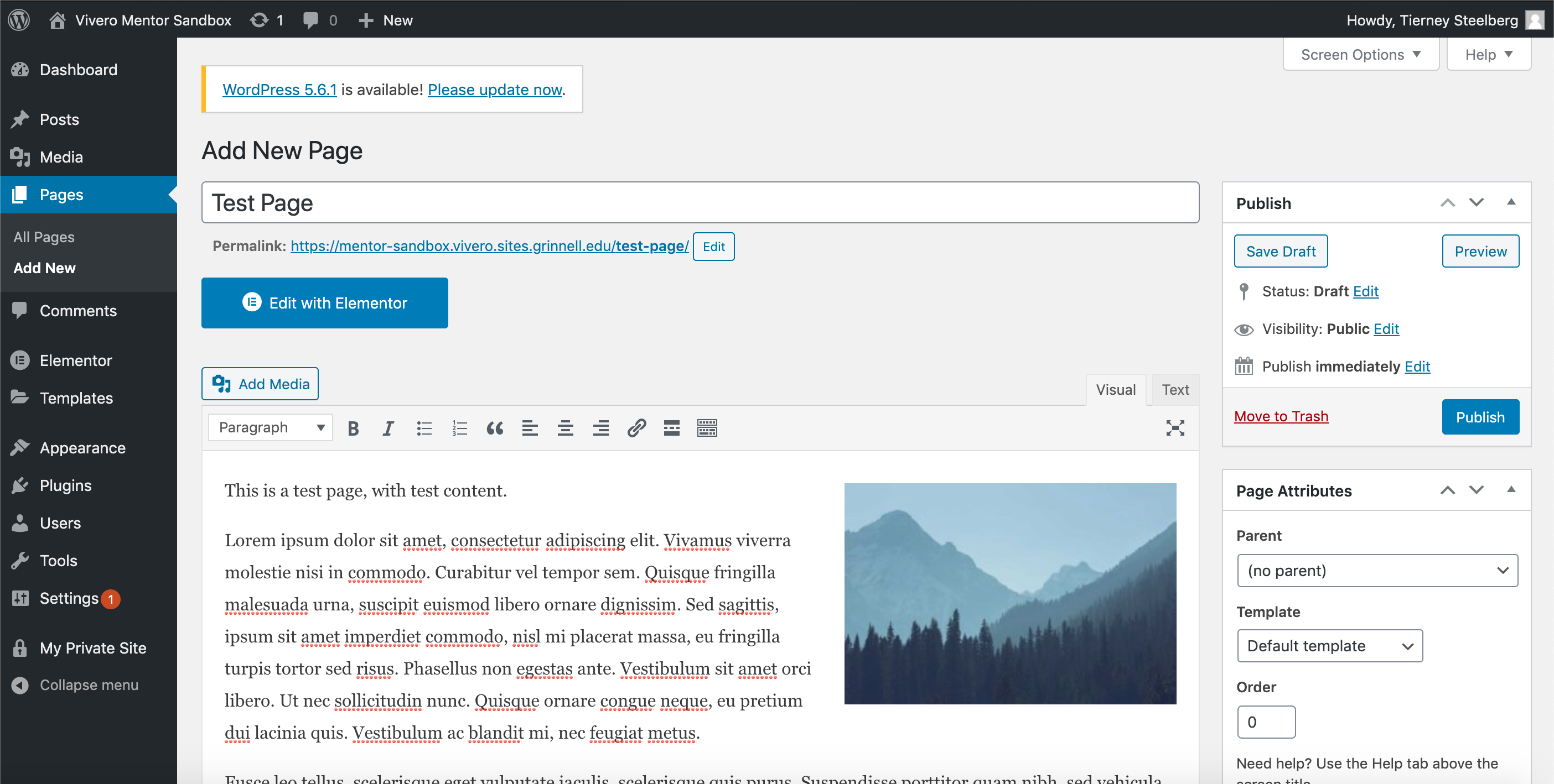 Screenshot of a WordPress page being edited on the back-end. The page contains placeholder text and an image.