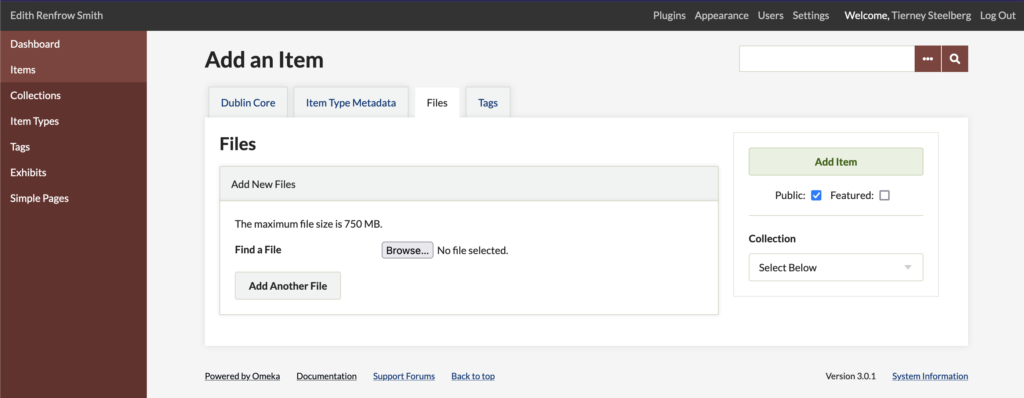 Screenshot of Omeka "Add an Item" Files page